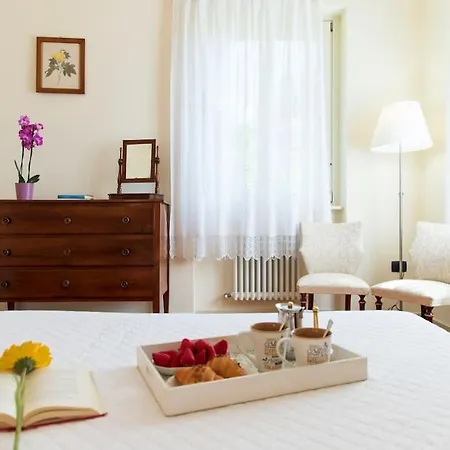 Fiore Nel Borgo D'arte By Yohome * Novilara