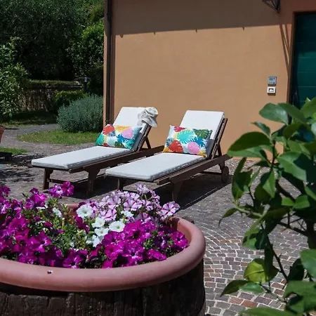 Fiore Nel Borgo D'arte By Yohome * Novilara