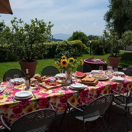 Fiore Nel Borgo D'arte By Yohome Novilara